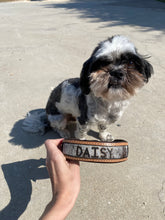 Load image into Gallery viewer, Cash Dog Collar- 3 sizes (Final Sale)