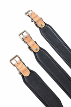 Load image into Gallery viewer, Cash Dog Collar- 3 sizes (Final Sale)