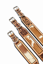 Load image into Gallery viewer, Cash Dog Collar- 3 sizes (Final Sale)
